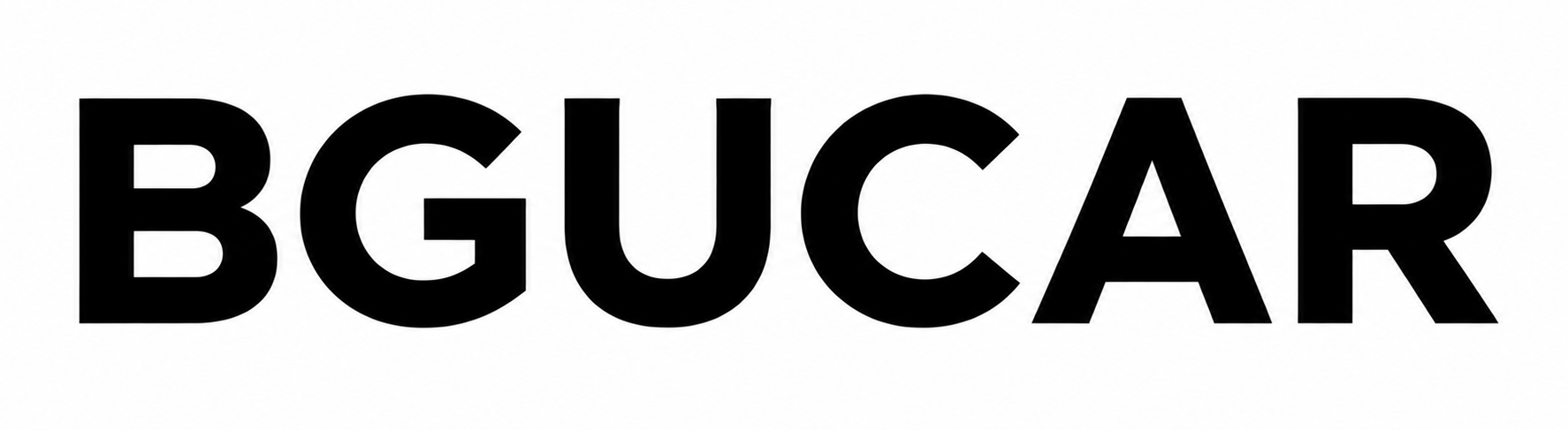 BGUCar Automotive Accessories for Everyday Driving Needs